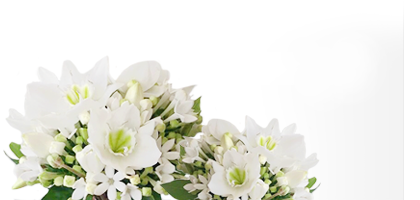 Marry In The Garden, Top of Small Wedding